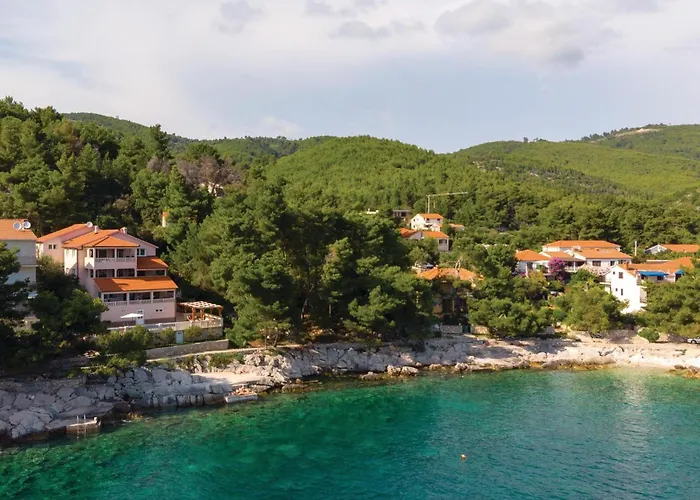 Bb Ii * פריזבה